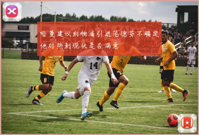 哈曼建议利物浦引进范德芬不确定他对热刺现状是否满意